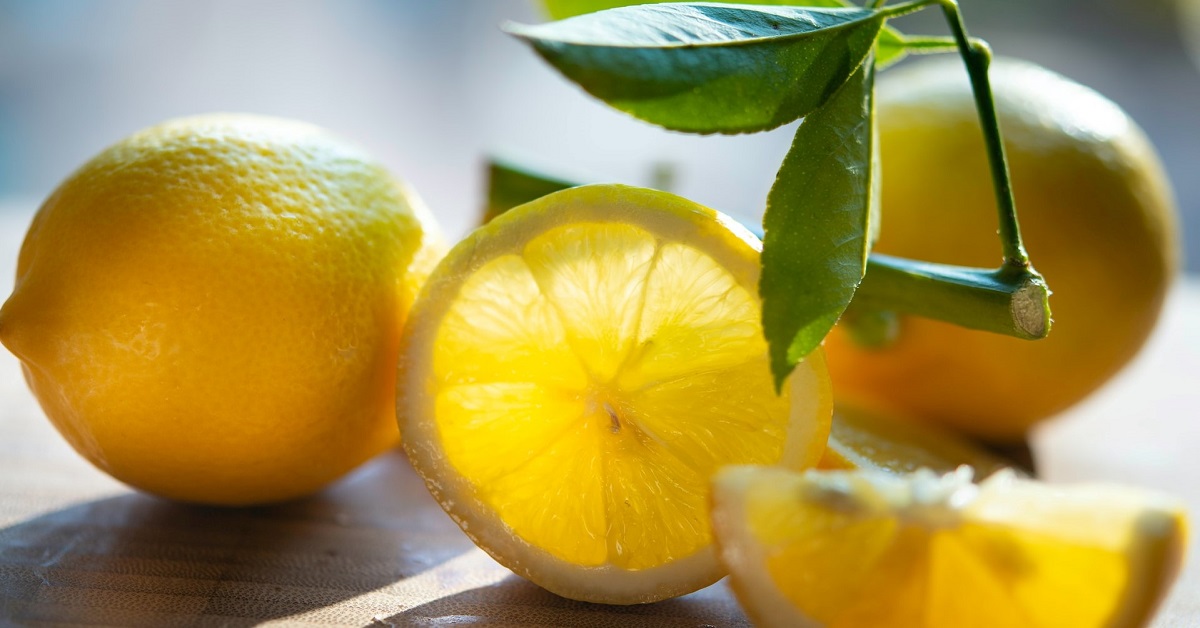branch of lemons on the table