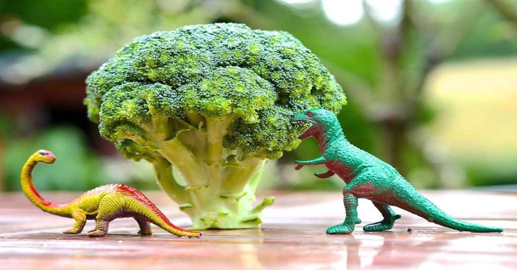 toy dinosaurs on the table next to broccoli